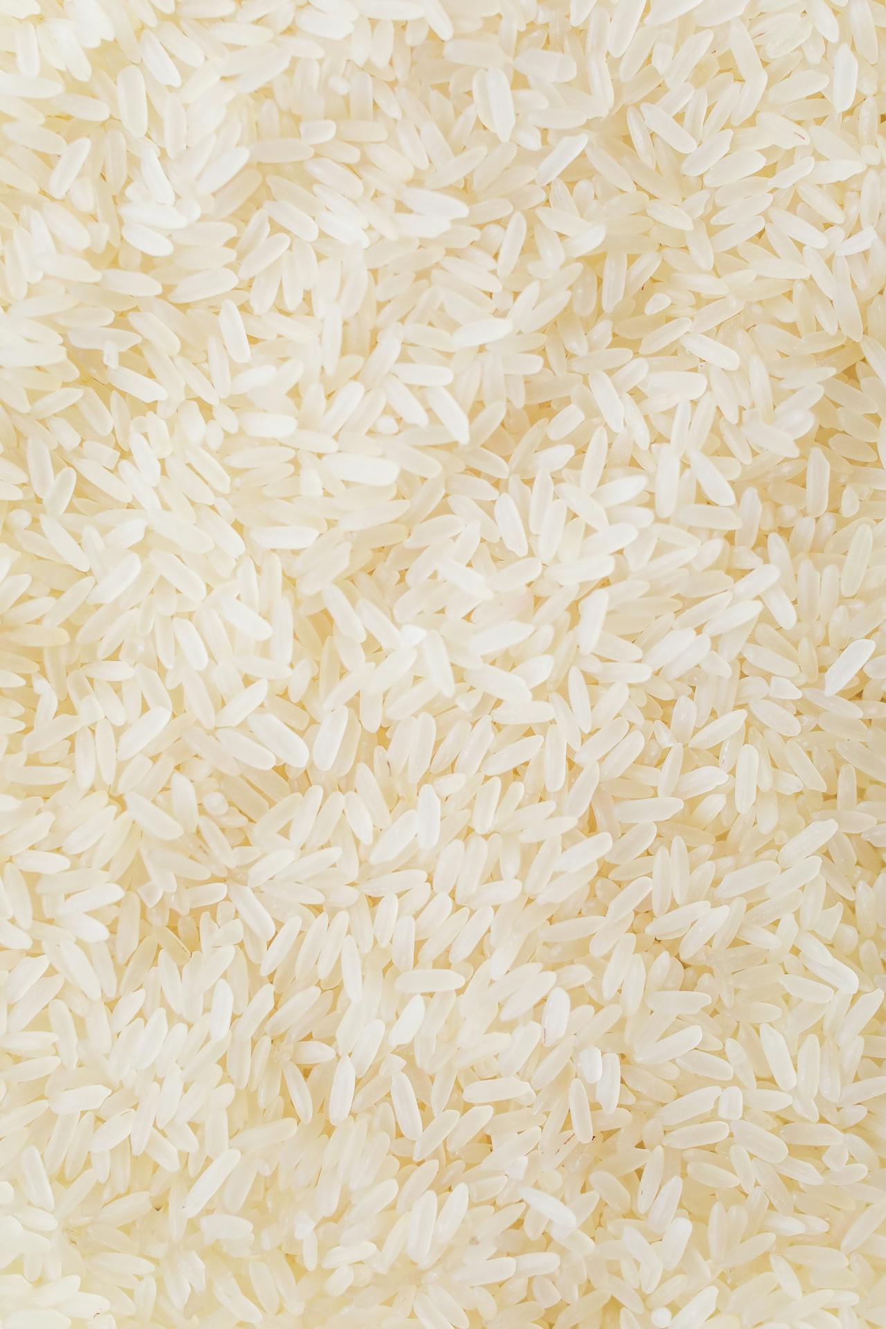 Rice